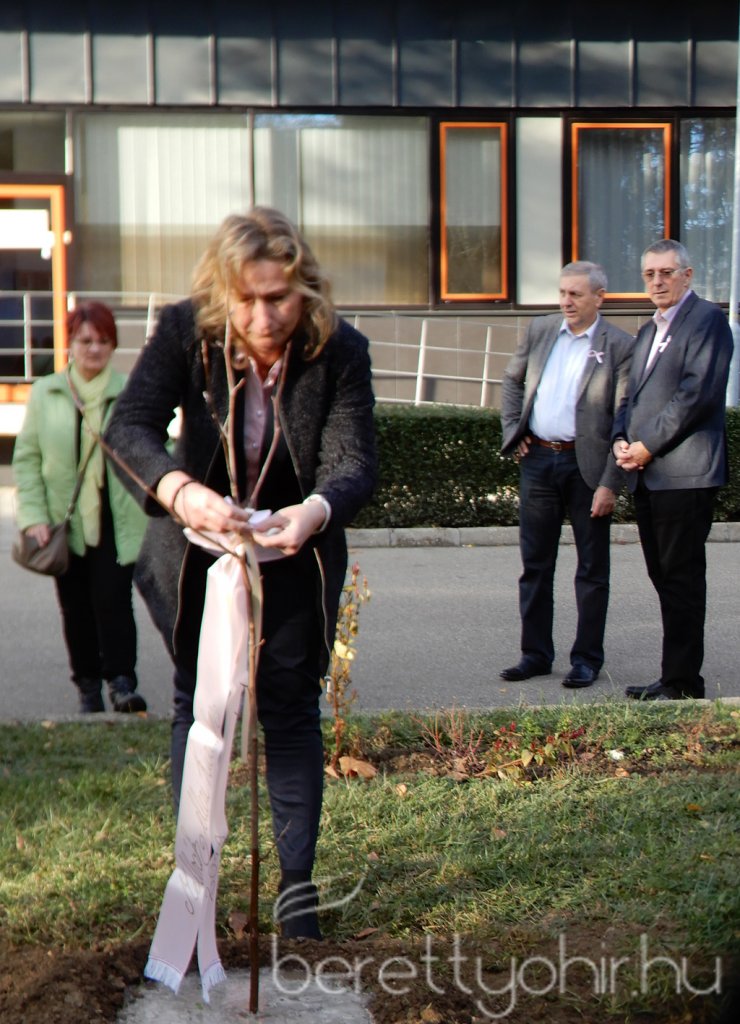 Tulipánfával a mellrák ellen 16